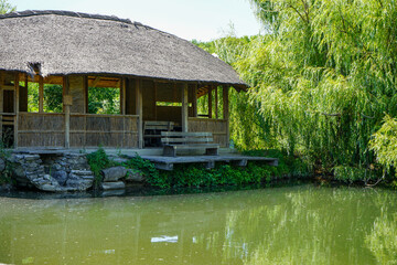 a wooden gazebo with a thatched roof on the shore of a forest lake overgrown with weeping willows on a sunny summer day