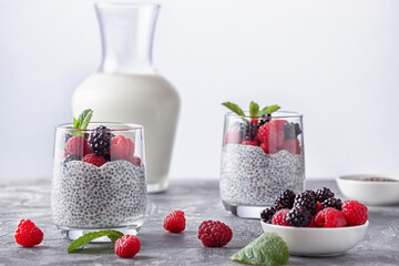 Vegan healthy food. Chia pudding with coconut milk, fresh raspberries and blackberries