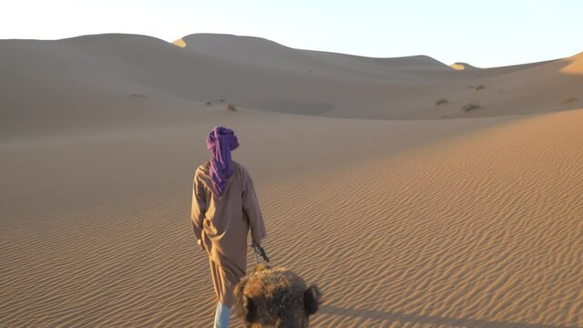 Slow motion rear view of woman walking with camel in desert, Morocco