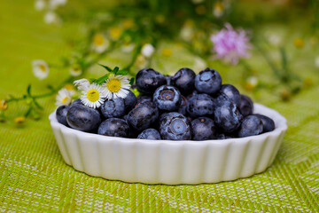 Fresh blueberries in white bowl on green background.