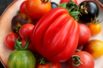 Fototapeta na wymiar Rare varieties of multi-colored tomatoes on a plate close-up, selective focus.