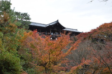 Naklejka premium Tofukuji-temple