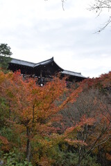 Naklejka premium Tofukuji-temple