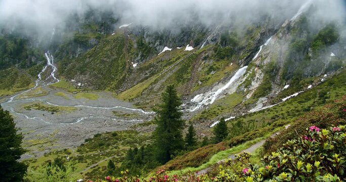 Incredible SulzenauWaterfall running down the valley. Alps rose flowr in foreground. Stubai, Austria