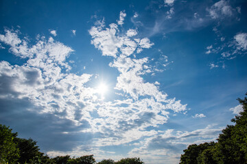 Fototapeta premium 青空