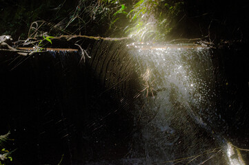 THIS A RIVER IN AMAPOR&Atilde; PARAN&Aacute; BRAZIL