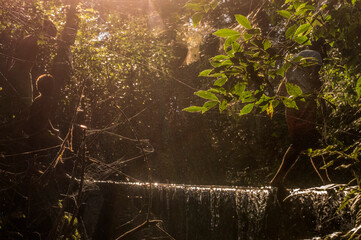 THIS A RIVER IN AMAPOR&Atilde; PARAN&Aacute; BRAZIL