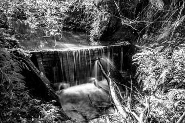 THIS A RIVER IN AMAPOR&Atilde; PARAN&Aacute; BRAZIL