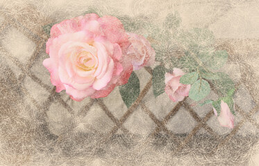 Pastel Rose Textured