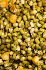 Morning Breakfast of Sprouts and Bread jam Cheese spread served on serving tray macro closeup shot