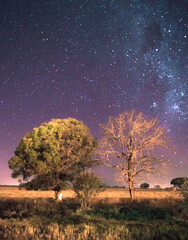 THIS IS A BACKGROUNG OF MY  GROUND