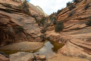 Stream in red sandstone narrow canyon, the Zion National Park, Utah