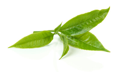 Green tea leaf isolated on white background