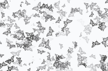 Fototapeta premium Flying black butterfly pattern on white floor2