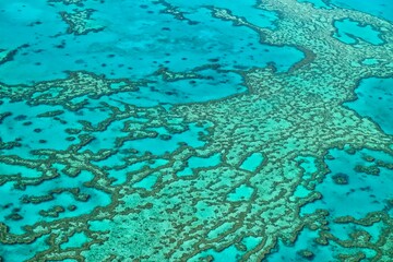 Fototapeta na wymiar Great Barrier Reef in QLD Australia