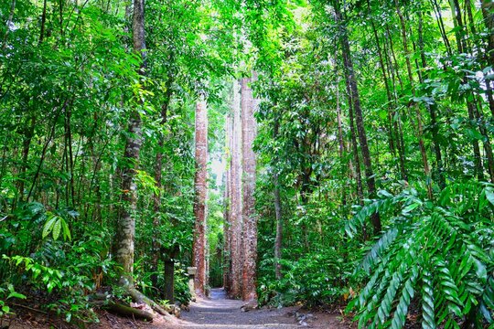 Paronella Park In QLD Australia