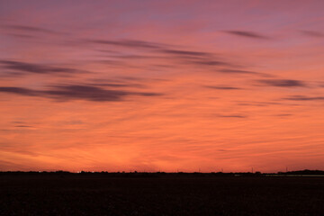 noche en un campo de algodón ya cosechado con las plantas cortadas a ras de suelo