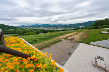 北海道　仁木町