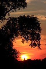 Fototapeta premium Kansas colorful Sunset with clouds and a tree silhouette north of Hutchinson Kansas USA.