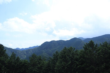 Fototapeta premium Nature in mitake mountain , japan ,tokyo