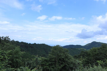 Fototapeta na wymiar Nature in mitake mountain , japan ,tokyo