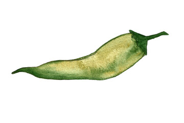 Chili pepper watercolor illustration. Hand drawn spicy vegetable isolated on white background. Healthy eating ingredient. Vegetarian food.