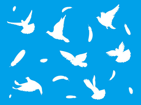 2 097 Best 白い鳥 Images Stock Photos Vectors Adobe Stock