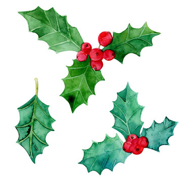 Christmas and New Year symbol decorative elements. Holly berry set.