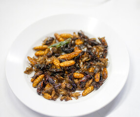 Fried insects, Exotic Asian food           