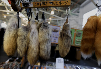 Native American dance regalia coyote and fox tails for sale at a powwow, San Francisco