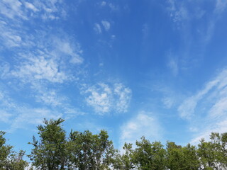 Summer sky