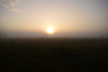 Sunrise in the fog over a forest swamp