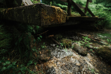 Little beautiful and peaceful pond in the forest of the german trail through the Glastal