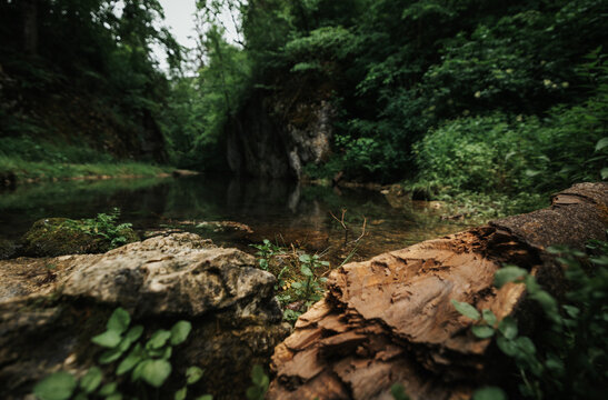 Little beautiful and peaceful pond in the forest of the german trail through the Glastal
