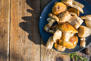 Plate with forest porcini mushrooms on a wooden table
