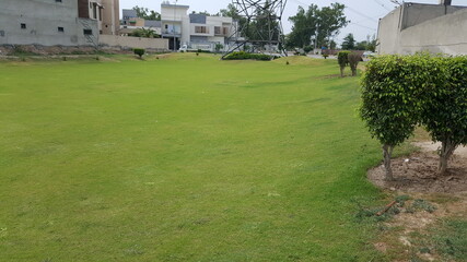 Obraz premium garden in the park