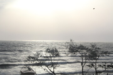 misty morning on the river