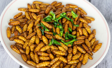 Thai Fried Bugs, Flies, Insects