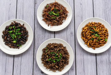 Thai Fried Bugs, Flies, Insects