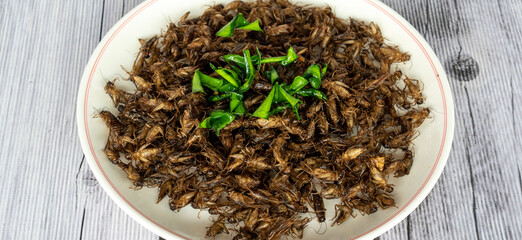 Thai Fried Bugs, Flies, Insects