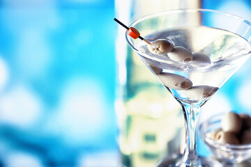 Travel concept. Tourist accessories gather in flight. Alcohol, camera, map and items.