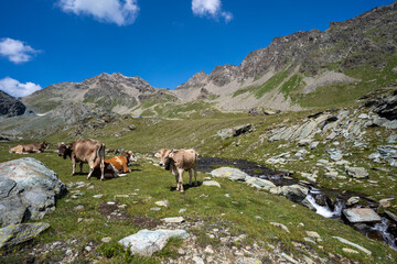 Wandern in der Lombardei Italien Sommer