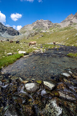 Wandern in der Lombardei Italien Sommer