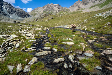 Wandern in der Lombardei Italien Sommer