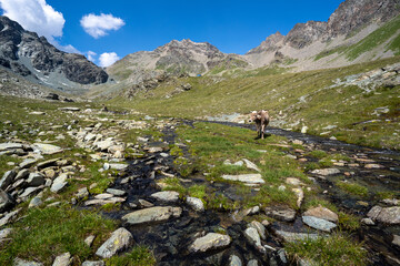 Wandern in der Lombardei Italien Sommer