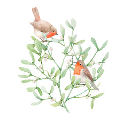 Beautiful image with watercolor mistletoe plant and robin bird. Stock illustraqtion.