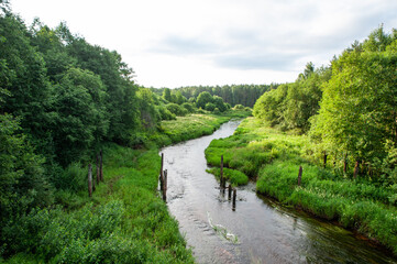 Very beautiful fairytale landscape with lush grass and a running river, aerial view