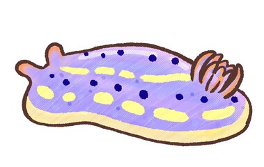 R：メルヘンな水族館 アオウミウシ２