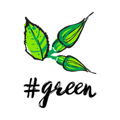 Stylish greeting card with green hashtag and buds of roses. Green natural makeup and accessories stickers and patches collection. Vector fashion illustration in vogue style.