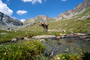 Wandern in der Lombardei Italien Sommer